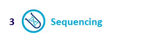 Sequencing 01 Service page   RNA sequencing
