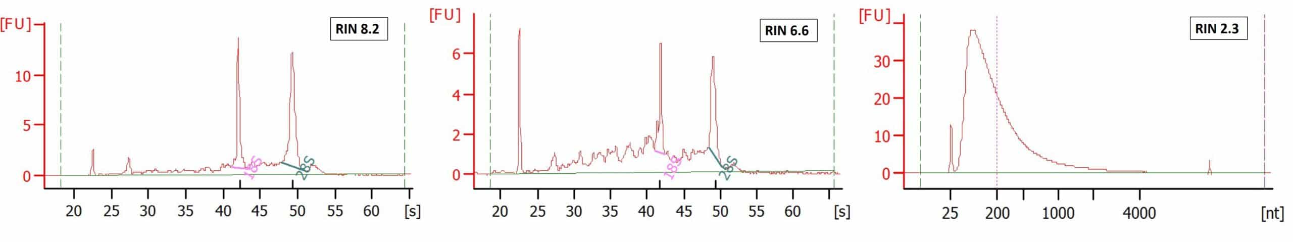 Fragment Analyzer RNA Measurement 3L FFPE RNA Sequencing