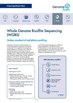 bisulfite product specification Bisulfite Sequencing