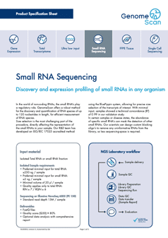 small rna seq product specification Small RNA Seq
