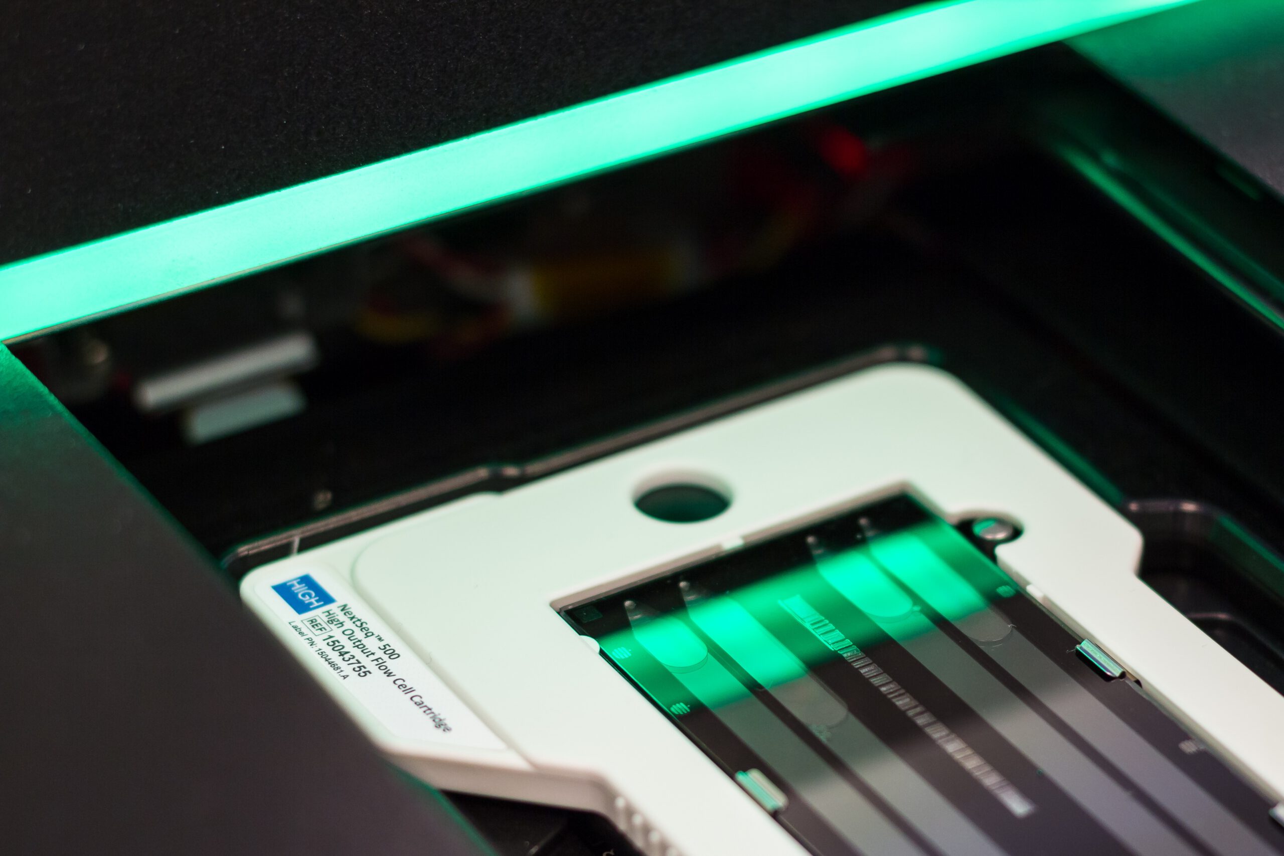 03.2015 Flowcell image in NextSeq 500 Outsourcing at GenomeScan